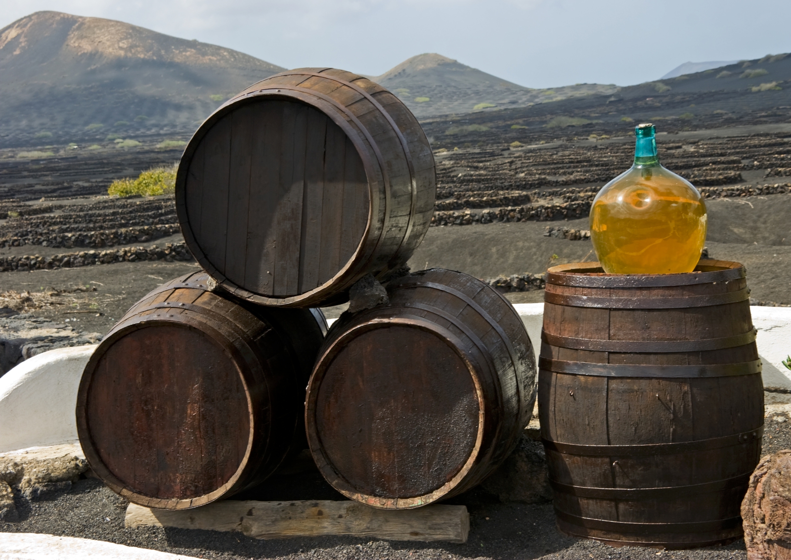 'Wine barrels on background vines and mountains , Lanzarote; Canary islands.' - Lanzarote